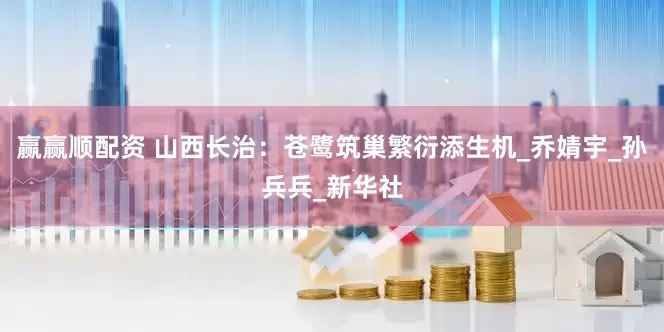 赢赢顺配资 山西长治：苍鹭筑巢繁衍添生机_乔婧宇_孙兵兵_新华社