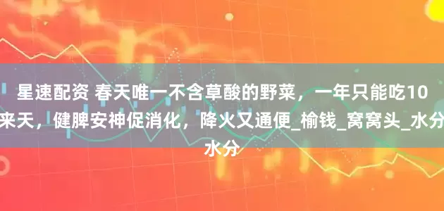 星速配资 春天唯一不含草酸的野菜，一年只能吃10来天，健脾安神促消化，降火又通便_榆钱_窝窝头_水分