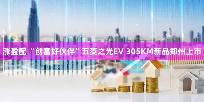 涨盈配 “创富好伙伴”五菱之光EV 305KM新品郑州上市
