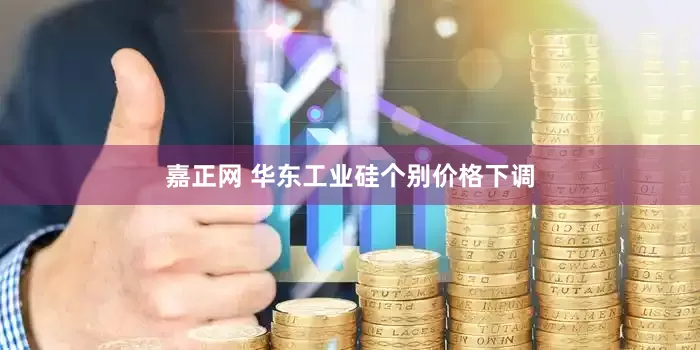 嘉正网 华东工业硅个别价格下调