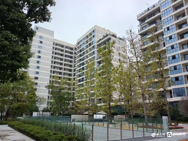 聚创配资 “金秋朗怡翰墨香，合展康养书画情”活动 在重庆怡朗山社区开笔